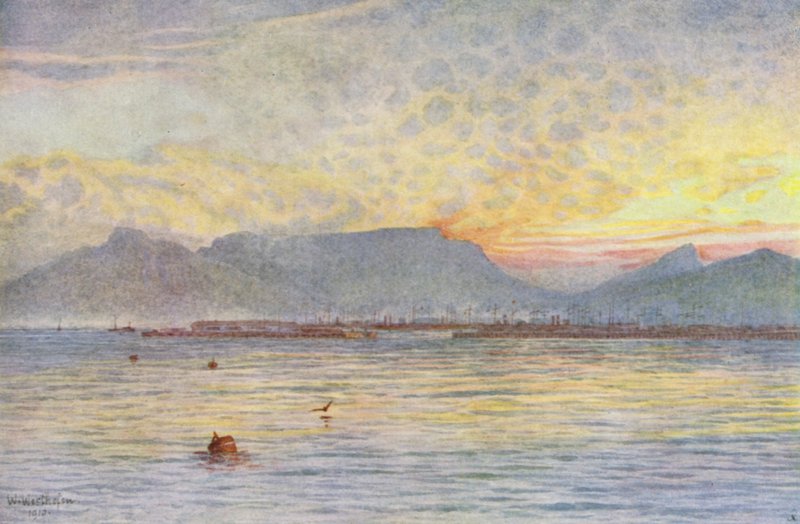 Cape Town from Table Bay by Wilhelm Westhofen