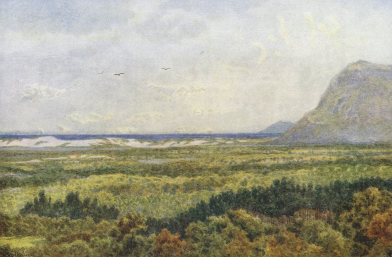 Constantia Valley and False Bay, with Cape Point by Wilhelm Westhofen