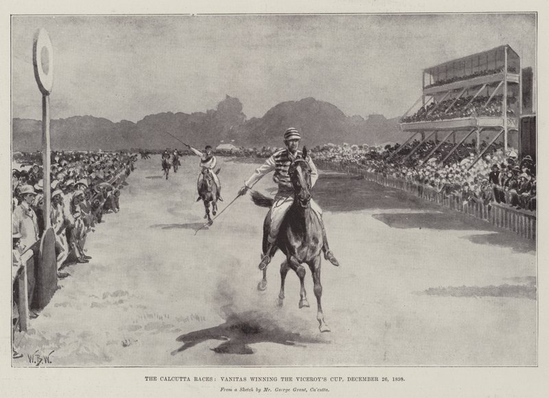 The Calcutta Races, Vanitas winning the Viceroy