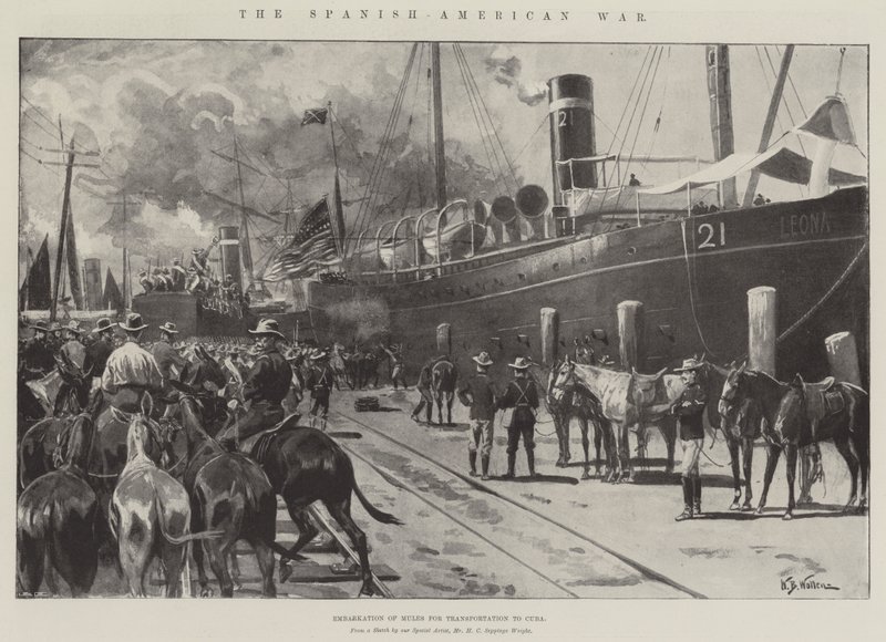 The Spanish-American War, Embarkation of Mules for Transportation to Cuba by William Barnes Wollen