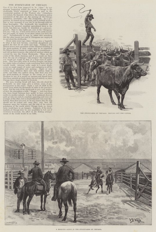 The Stockyards of Chicago by William Barnes Wollen