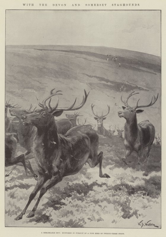 With the Devon and Somerset Staghounds by William Barnes Wollen