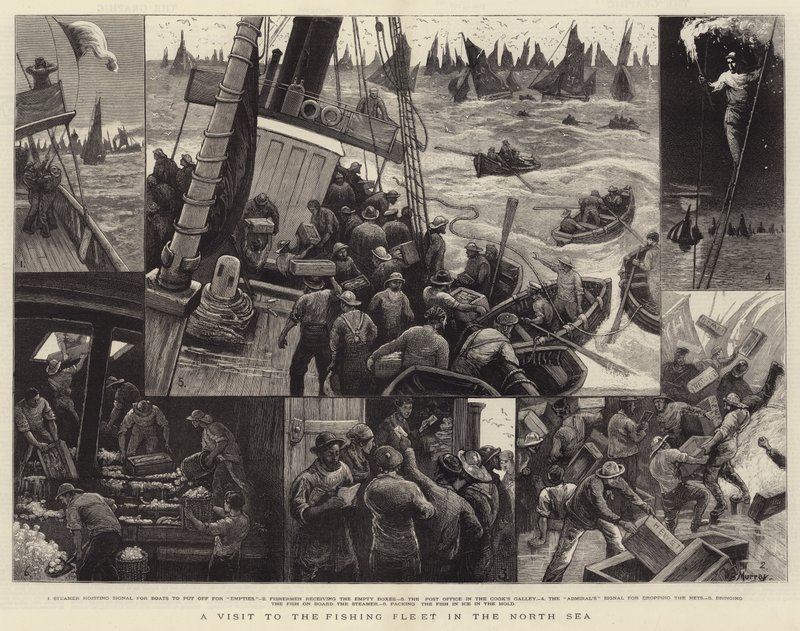 A Visit to the Fishing Fleet in the North Sea by William Bazett Murray