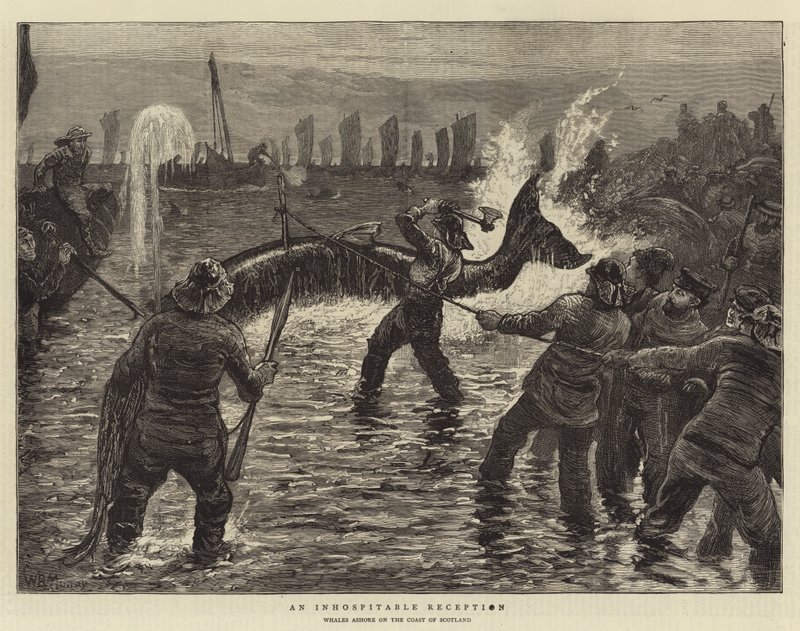 An Inhospitable Reception by William Bazett Murray