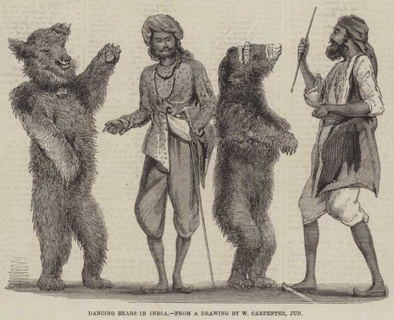 Dancing Bears in India by William Carpenter