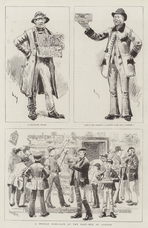 A Sunday Bird-Fair at the East-End of London by William Douglas Almond
