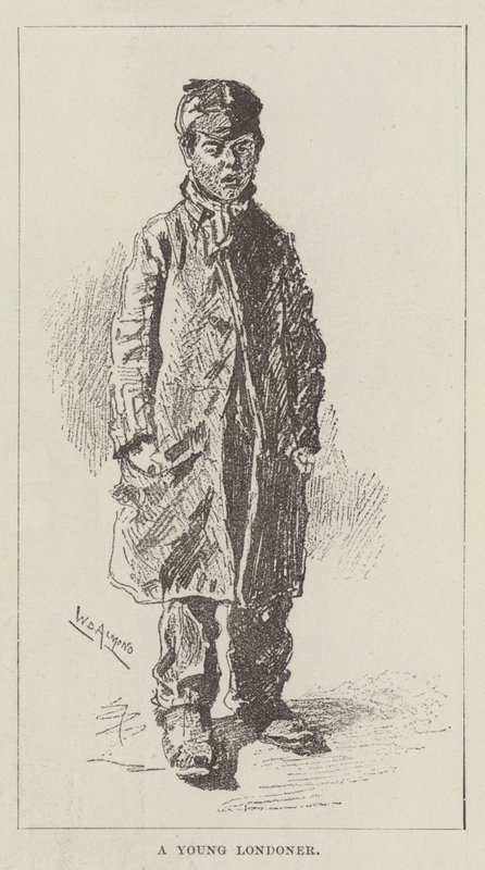 A Young Londoner by William Douglas Almond