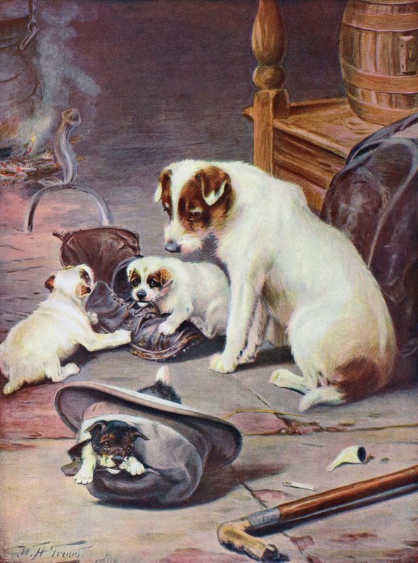 A Promising Family by William Henry Hamilton Trood