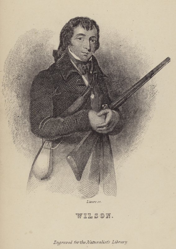 Alexander Wilson, Scottish Ornithologist by William Home Lizars