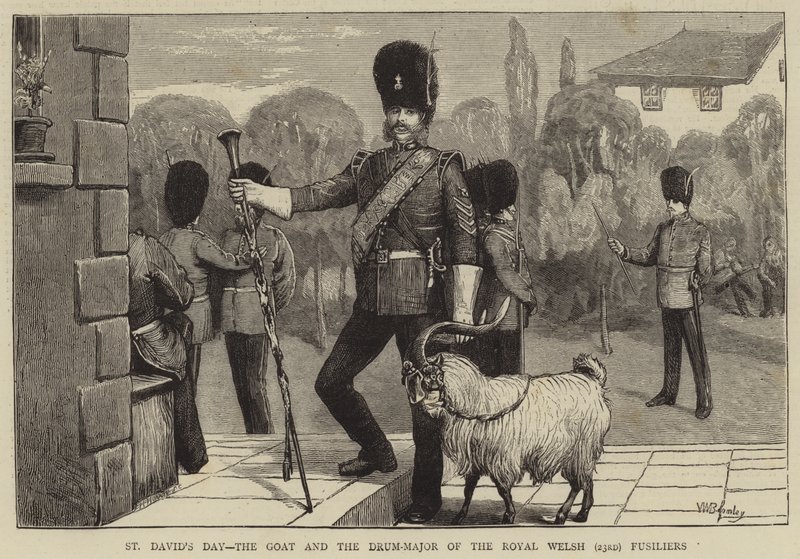 St David