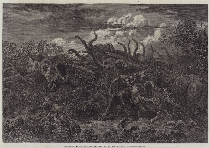 Scenes of South African Travel, an Attack in the Night by William James Linton