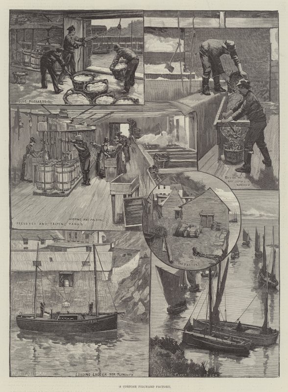 A Cornish Pilchard Factory by William Mouat Loudan