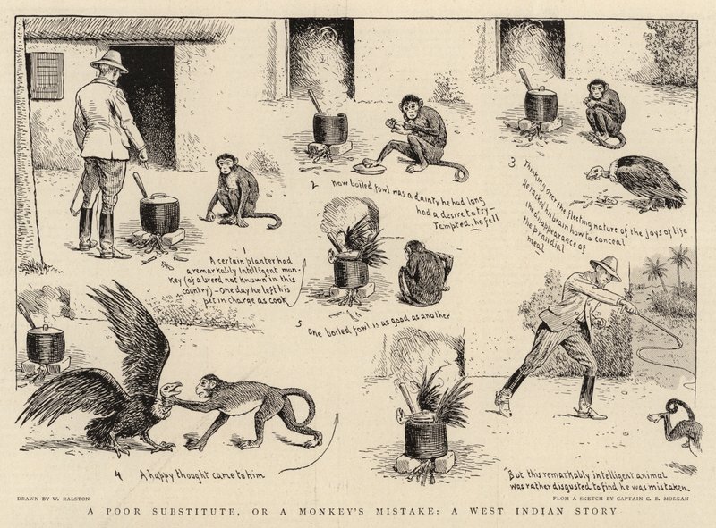 A Poor Substitute, or a Monkey