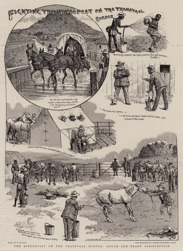Fighting the Rindepest on the Transvaal Border by William Ralston