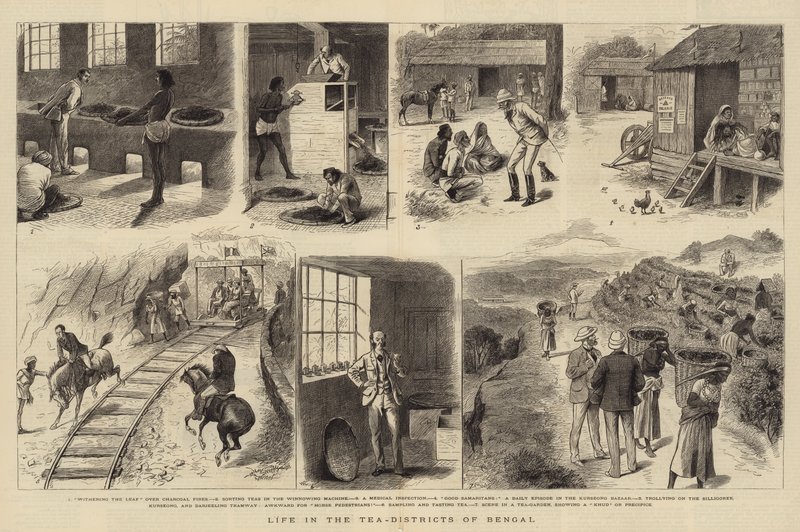 Life in the Tea-Districts of Bengal by William Ralston