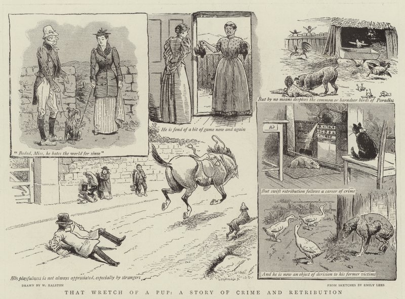 That Wretch of a Pup, a Story of Crime and Retribution by William Ralston