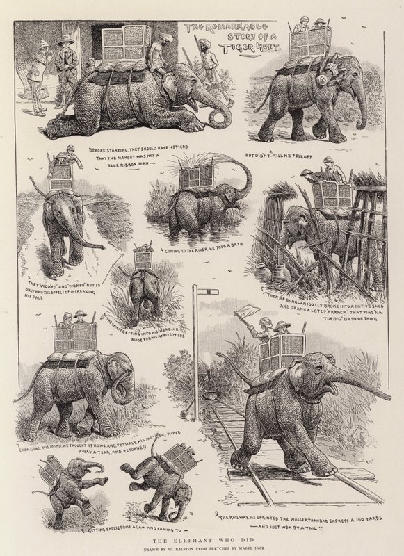 The Elephant Who Did by William Ralston