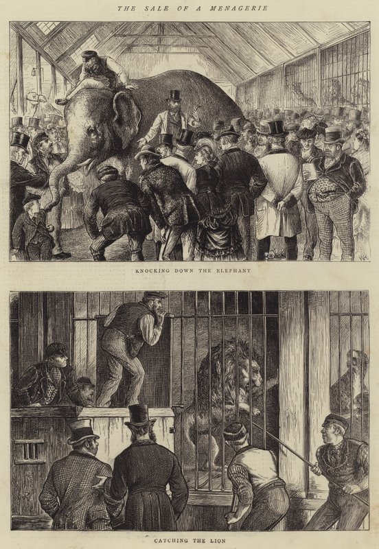 The Sale of a Menagerie by William Ralston