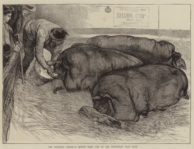 A Finishing Touch, a Sketch from Life at the Smithfield Club Show by William Small