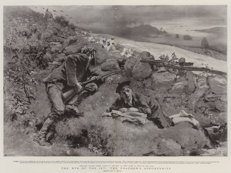 The Eve of the 12th, the Poacher