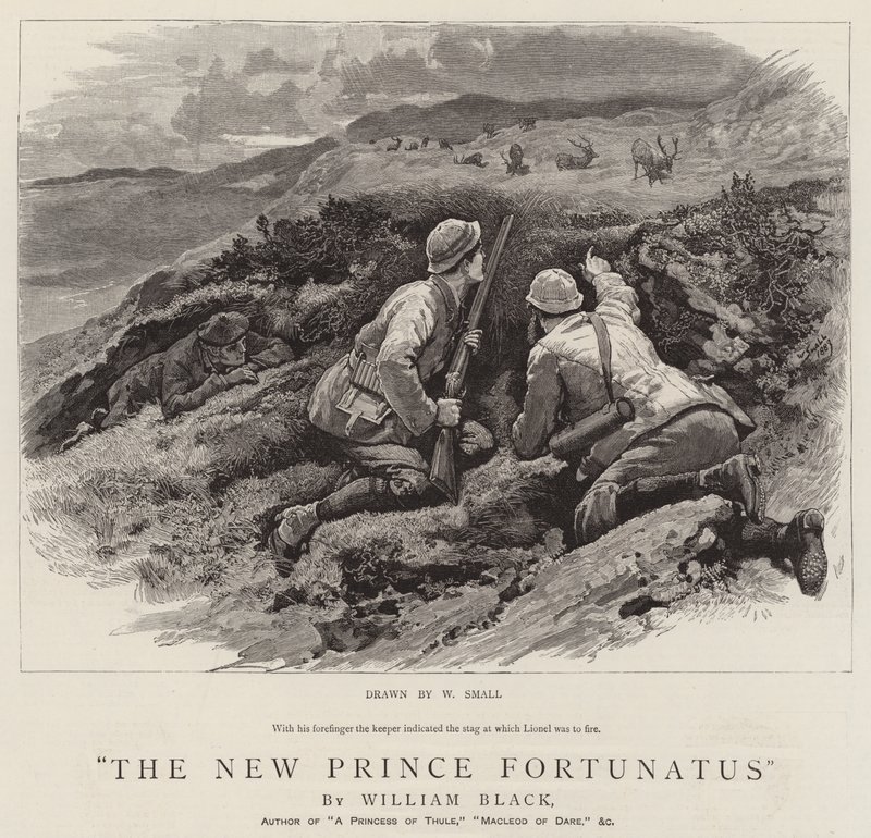The New Prince Fortunatus by William Small