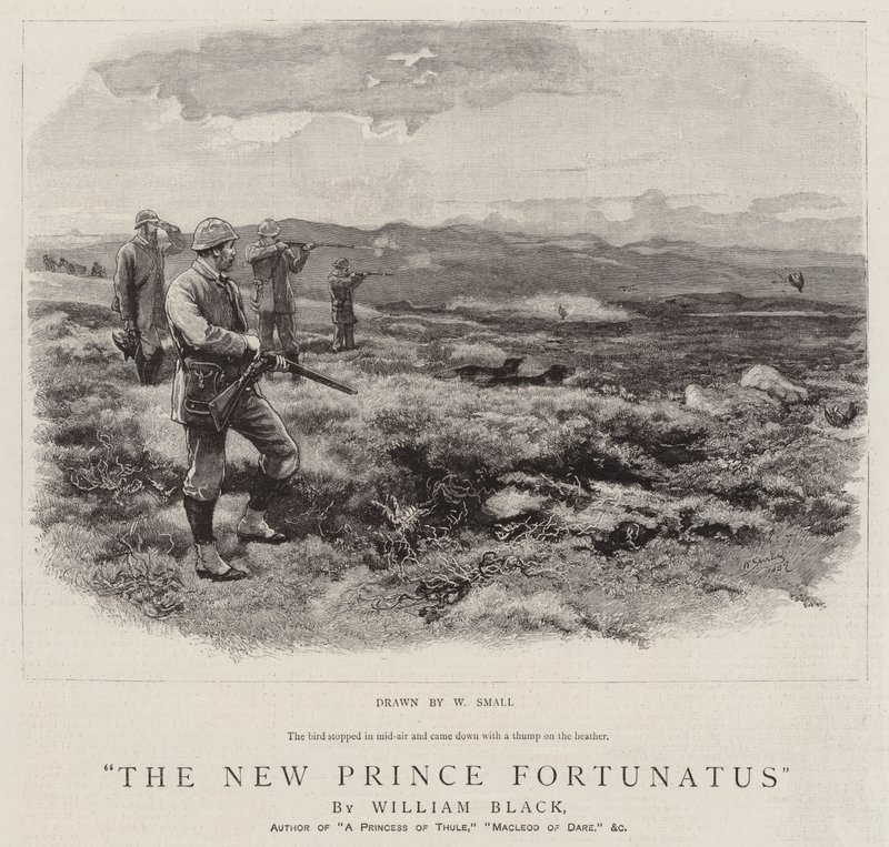 The New Prince Fortunatus by William Small
