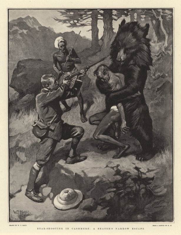 Bear-shooting in Cashmere, a Beater