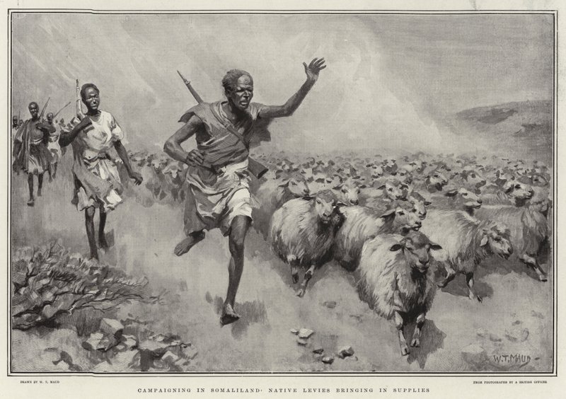 Campaigning in Somaliland Native Levies bringing in supplies by William T. Maud