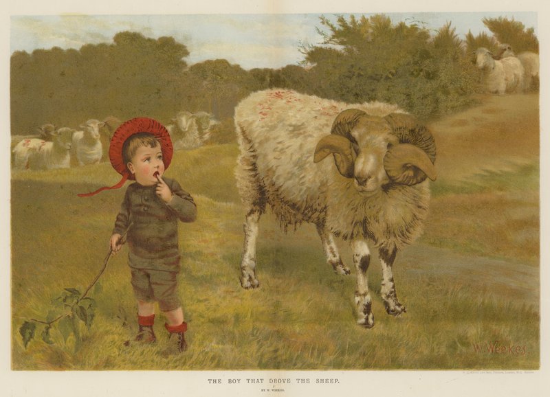 The Boy that drove the Sheep by William Weekes