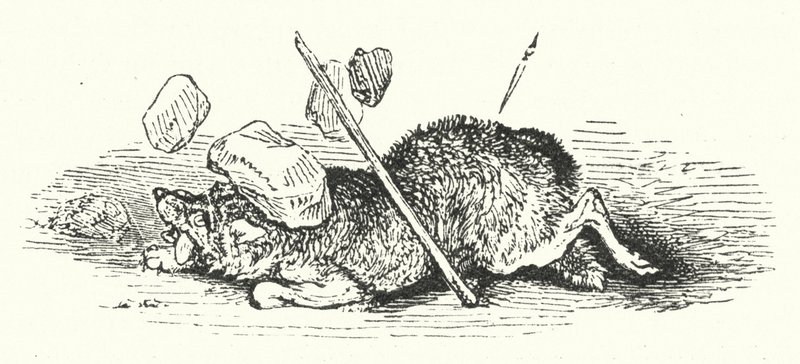 Death of the Wolf by William (after) Harvey