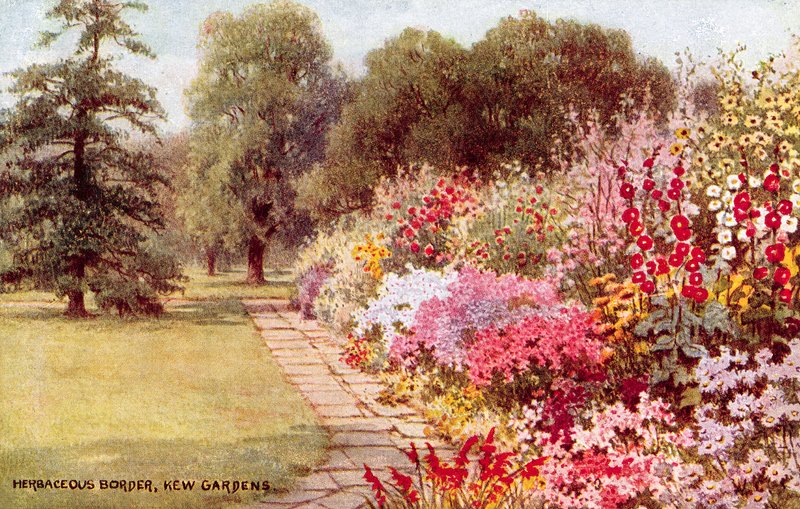 Herbaceous Border, Kew Gardens by William Affleck Carruthers