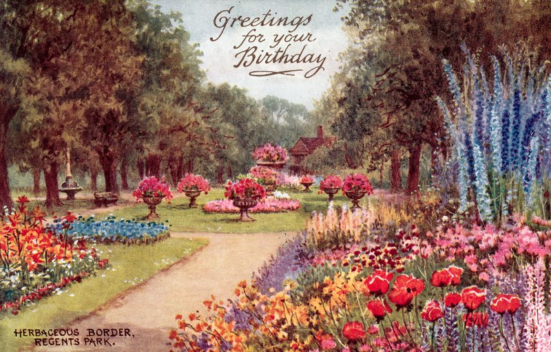 Herbaceous Border, Regents Park by William Affleck Carruthers