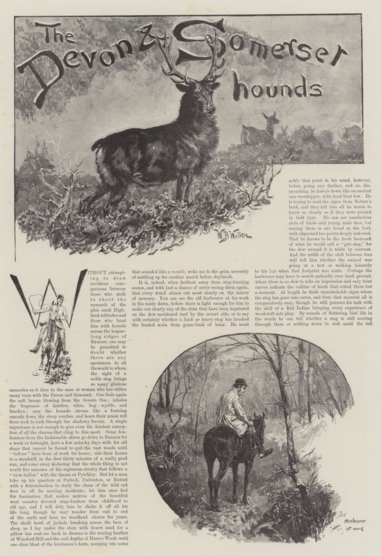 The Devon and Somerset Hounds by William Barnes Wollen