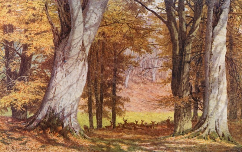 In Knole Park, Near the King Beech by William Biscombe Gardner