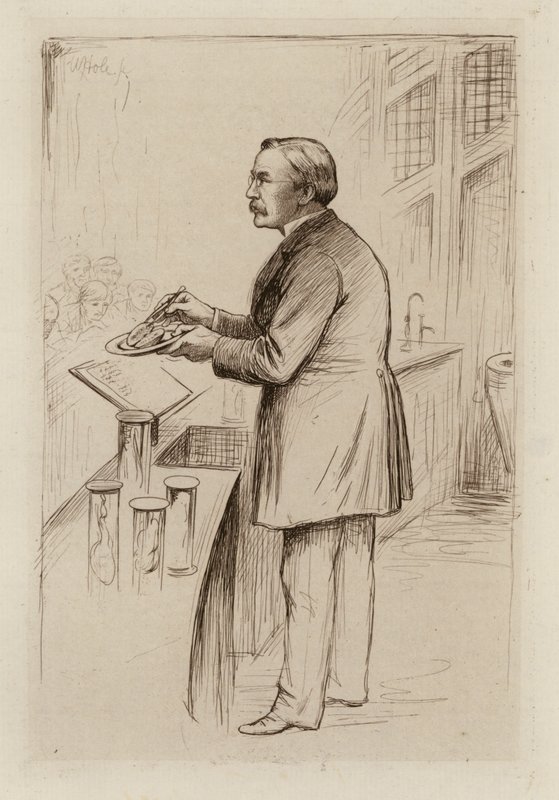 William Smith Greenfield, Professor of General Pathology (engraving) by William Brassey (after) Hole