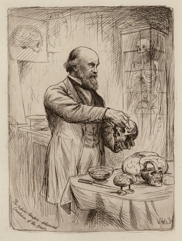 William Turner, Professor of Anatomy by William Brassey (after) Hole