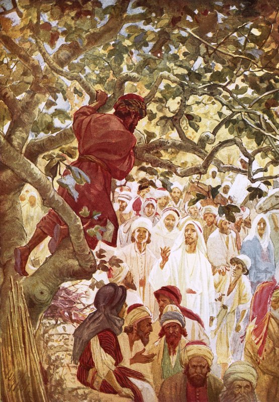 Jesus summoning Zacchaeus the publican to entertain him at his house by William Brassey Hole