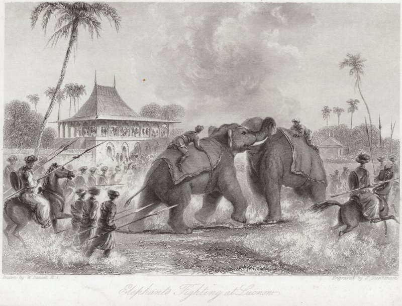 Elephants Fighting at Lucknow by William Daniell