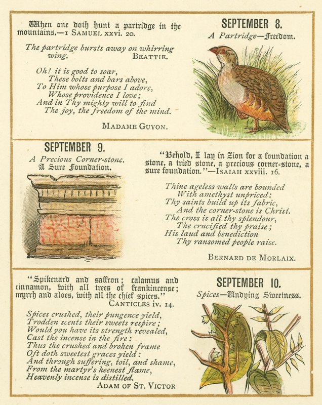 Page from The Bible Emblem Anniversary Book by William Foster