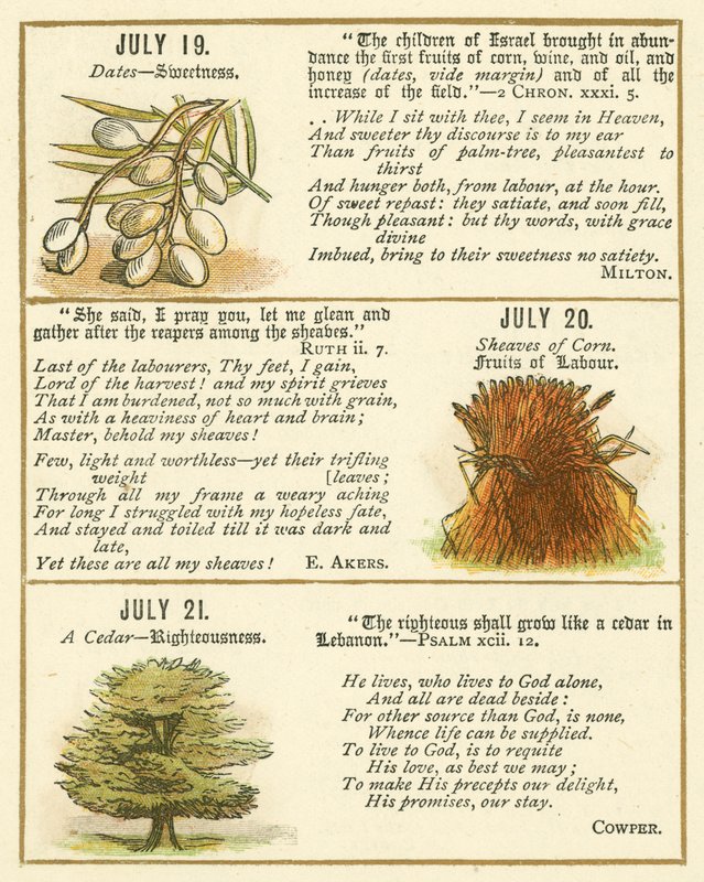Page from The Bible Emblem Anniversary Book by William Foster