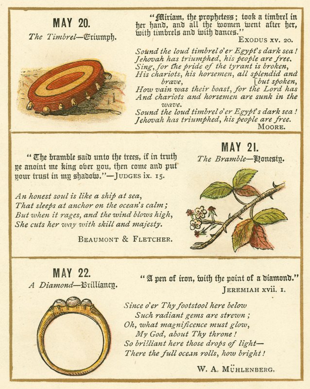 Page from The Bible Emblem Anniversary Book by William Foster