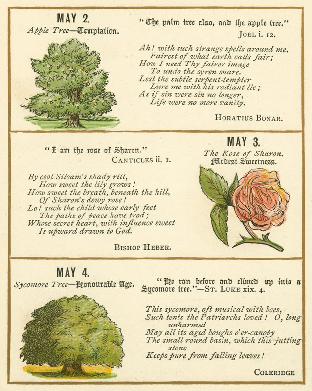 Page from The Bible Emblem Anniversary Book by William Foster