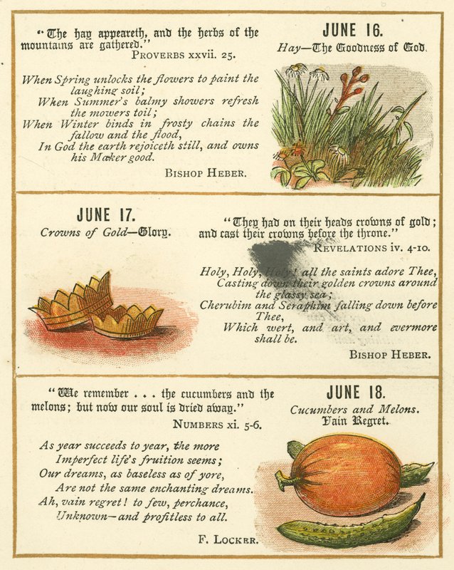 Page from The Bible Emblem Anniversary Book by William Foster