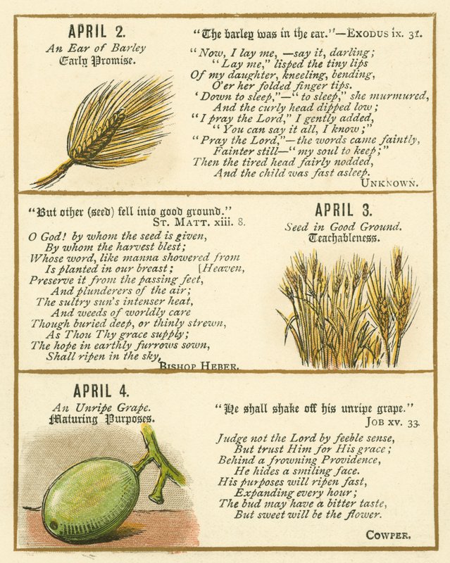 Page from The Bible Emblem Anniversary Book by William Foster