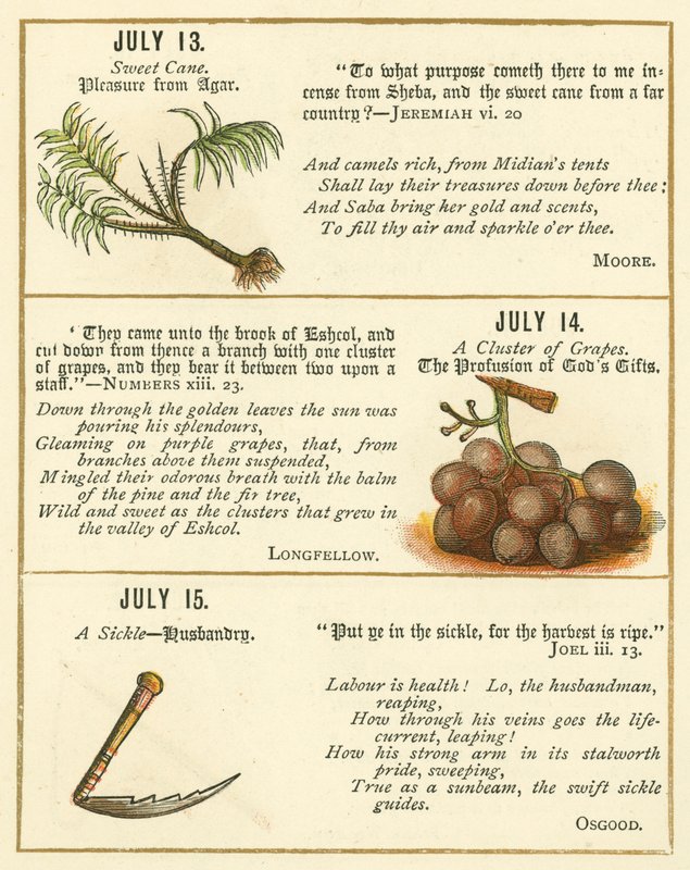 Page from The Bible Emblem Anniversary Book by William Foster