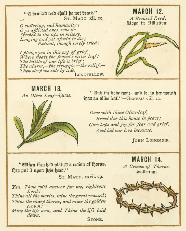 Page from The Bible Emblem Anniversary Book by William Foster