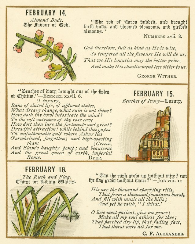 Page from The Bible Emblem Anniversary Book by William Foster