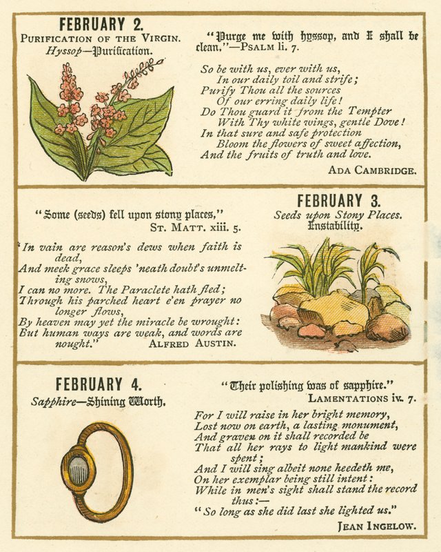 Page from The Bible Emblem Anniversary Book by William Foster