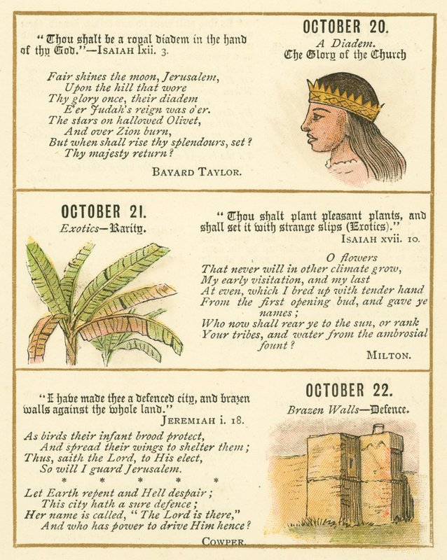 Page from The Bible Emblem Anniversary Book by William Foster