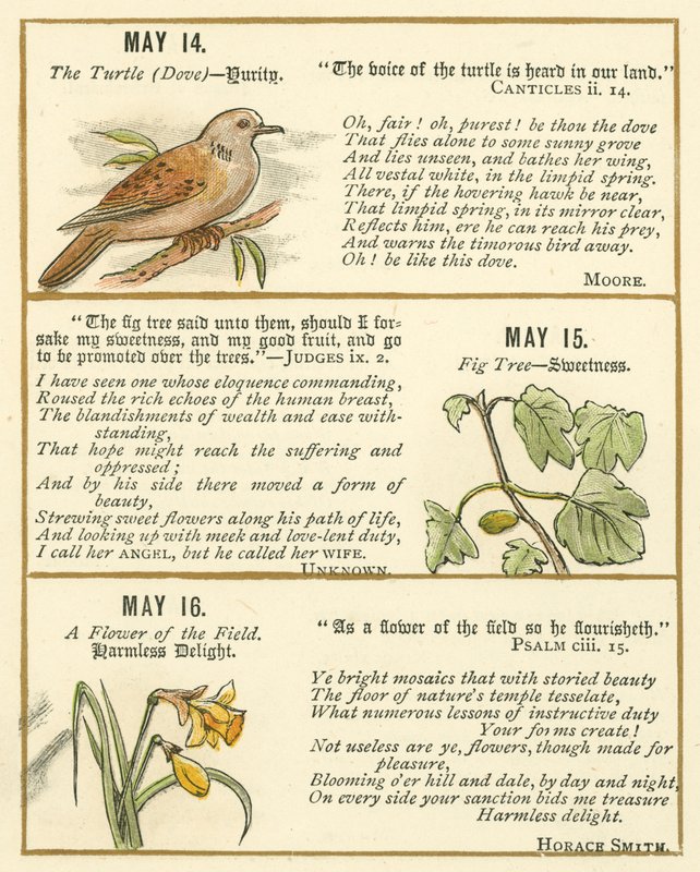 Page from The Bible Emblem Anniversary Book by William Foster
